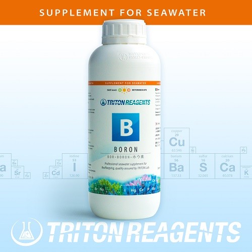 Triton Reagents Bor 1000ml (B)